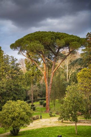 Firenze Greenway