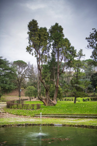 Firenze Greenway